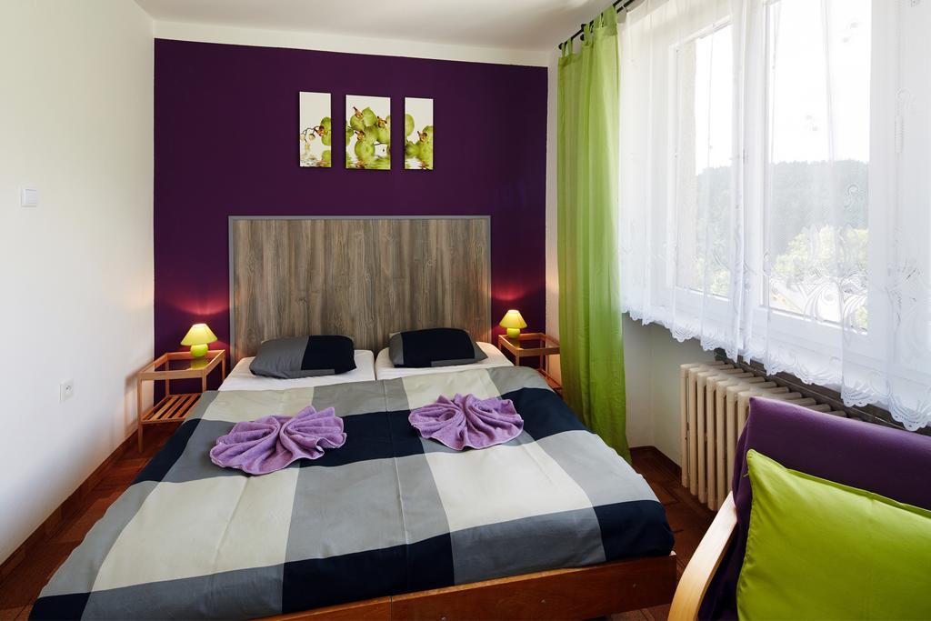 Pension U Slunce Janské Lázně Camera foto